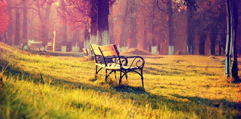 轰炸电话在线下单